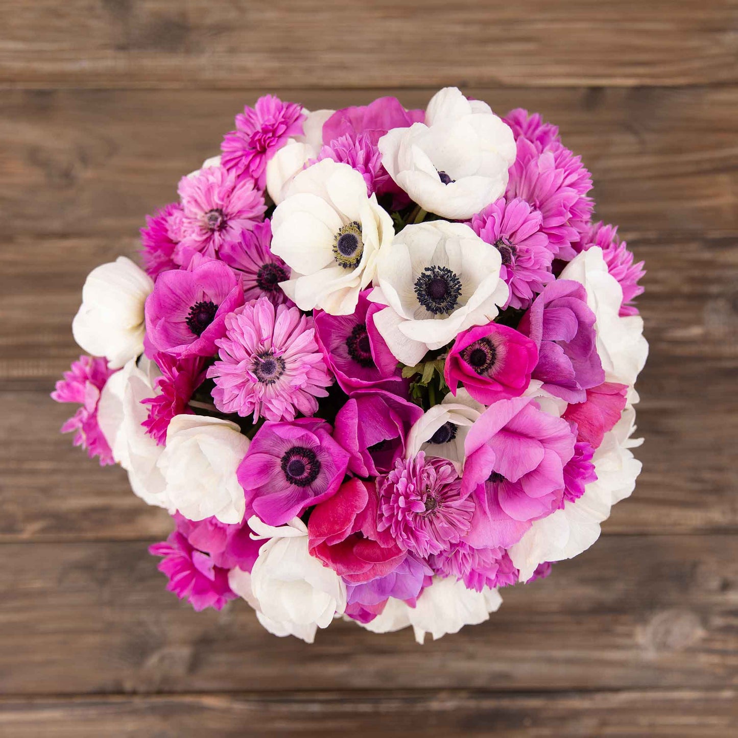 Adeline's Mix - Anemone Bulbs