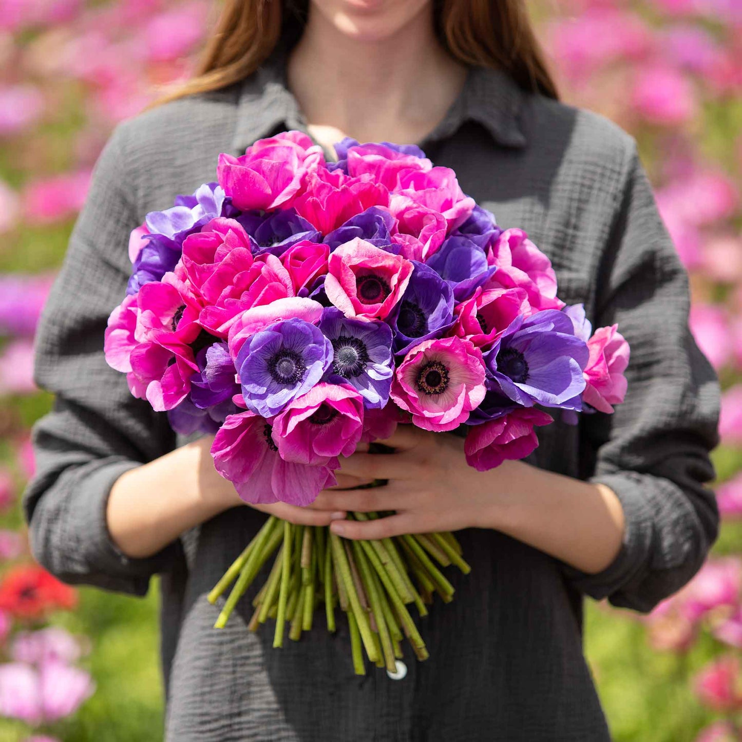 Edge of Dusk Mix - Anemone Bulbs