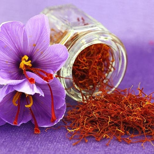 Saffron - Crocus Bulbs (Sativus)