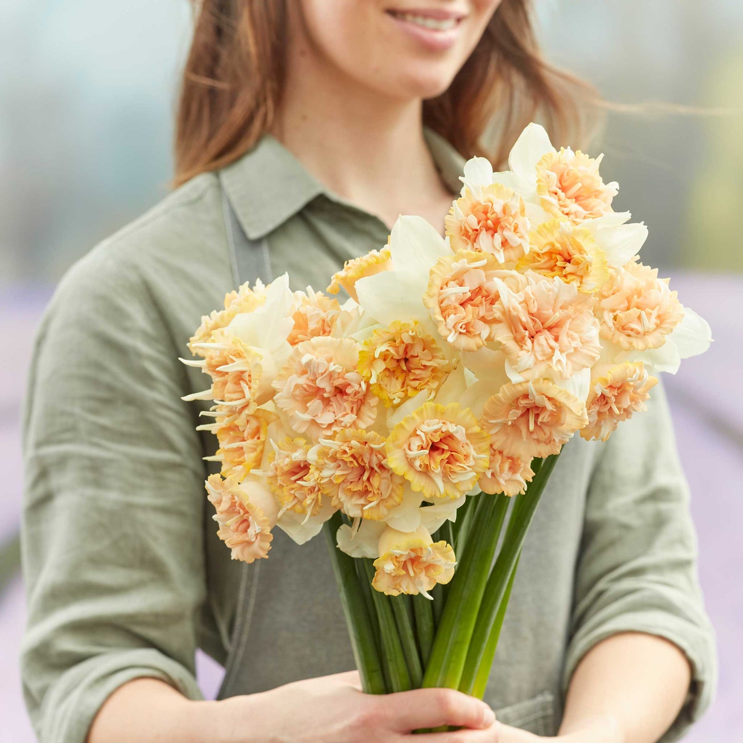 Petit Four - Daffodil Bulbs
