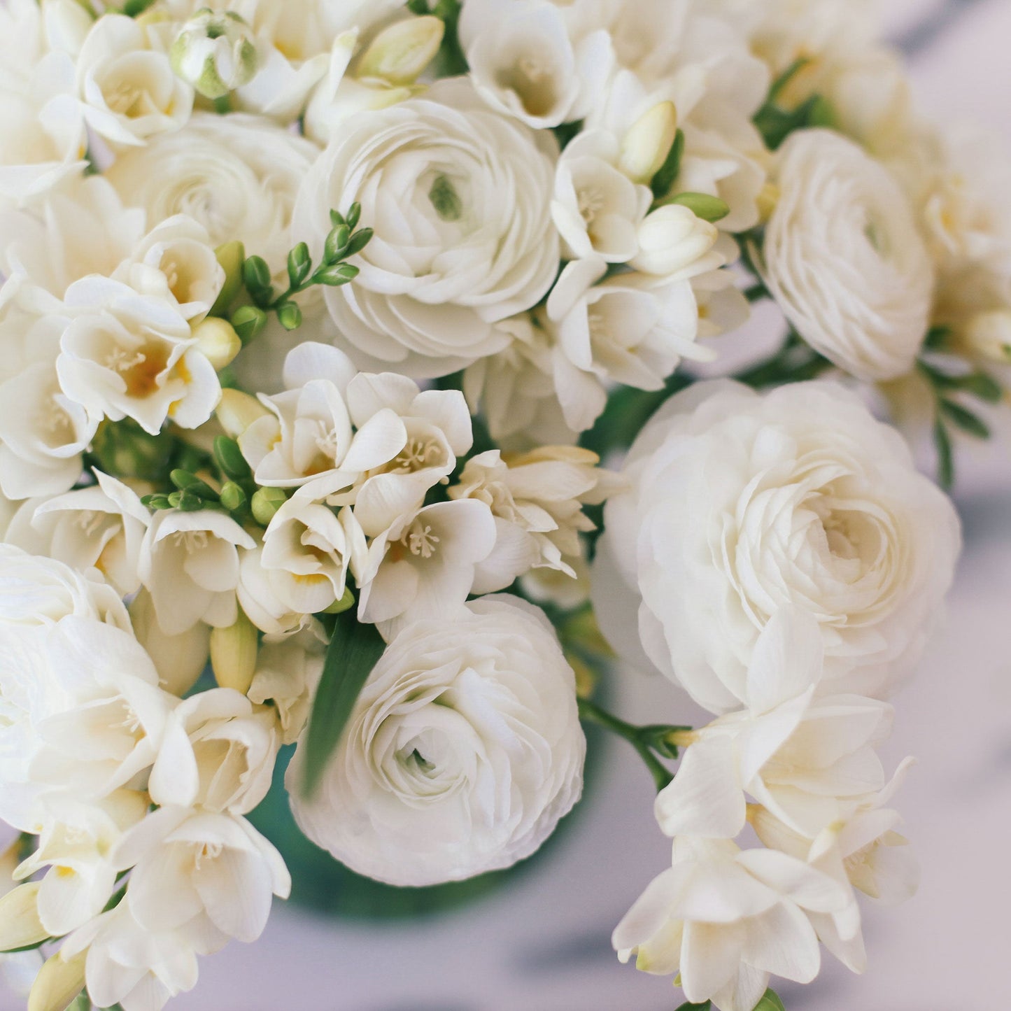 White Mix - Ranunculus & Freesia Bulbs