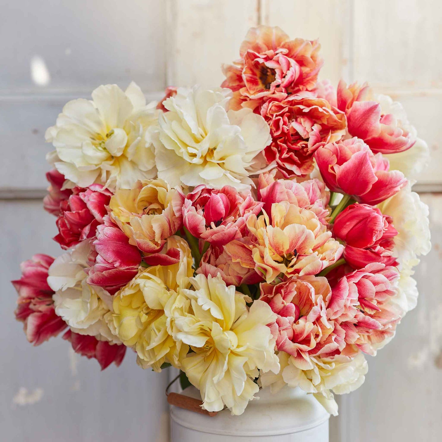 Spring Jubilee Mix - Tulip Bulbs