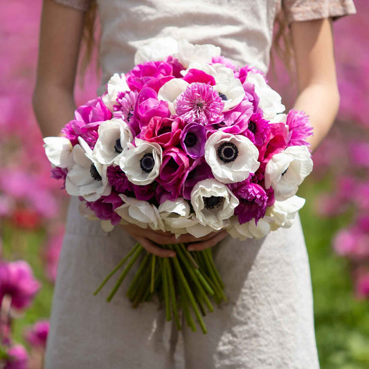 Adeline's Mix - Anemone Bulbs