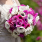 Adeline's Mix - Anemone Bulbs