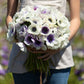 Eskimo Kiss Mix - Anemone Bulbs