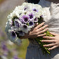 Eskimo Kiss Mix - Anemone Bulbs
