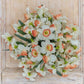 Pink Charm - Daffodil Bulbs