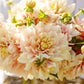 Break Out - Dahlia Bulbs (Dinnerplate)