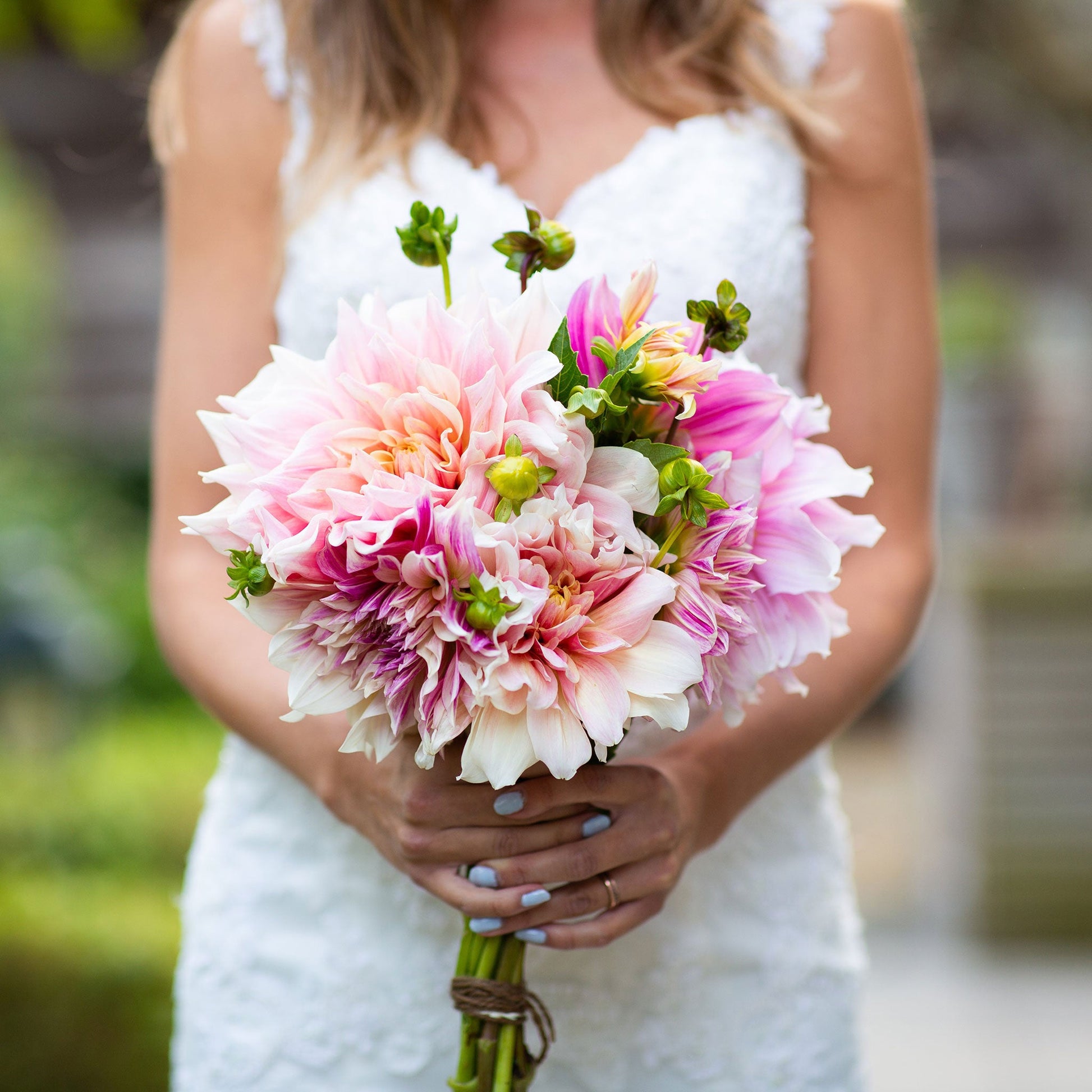 dahlia and succulent bouquet Bridal Bouquet Mix