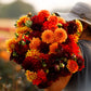 Hot Mix - Dahlia Bulbs (Decorative)