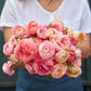 Romantic Mix - Ranunculus Bulbs