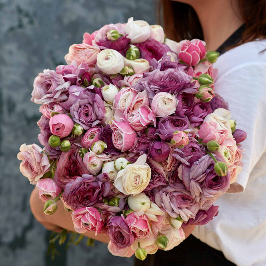 Secret Garden Mix - Ranunculus Bulbs