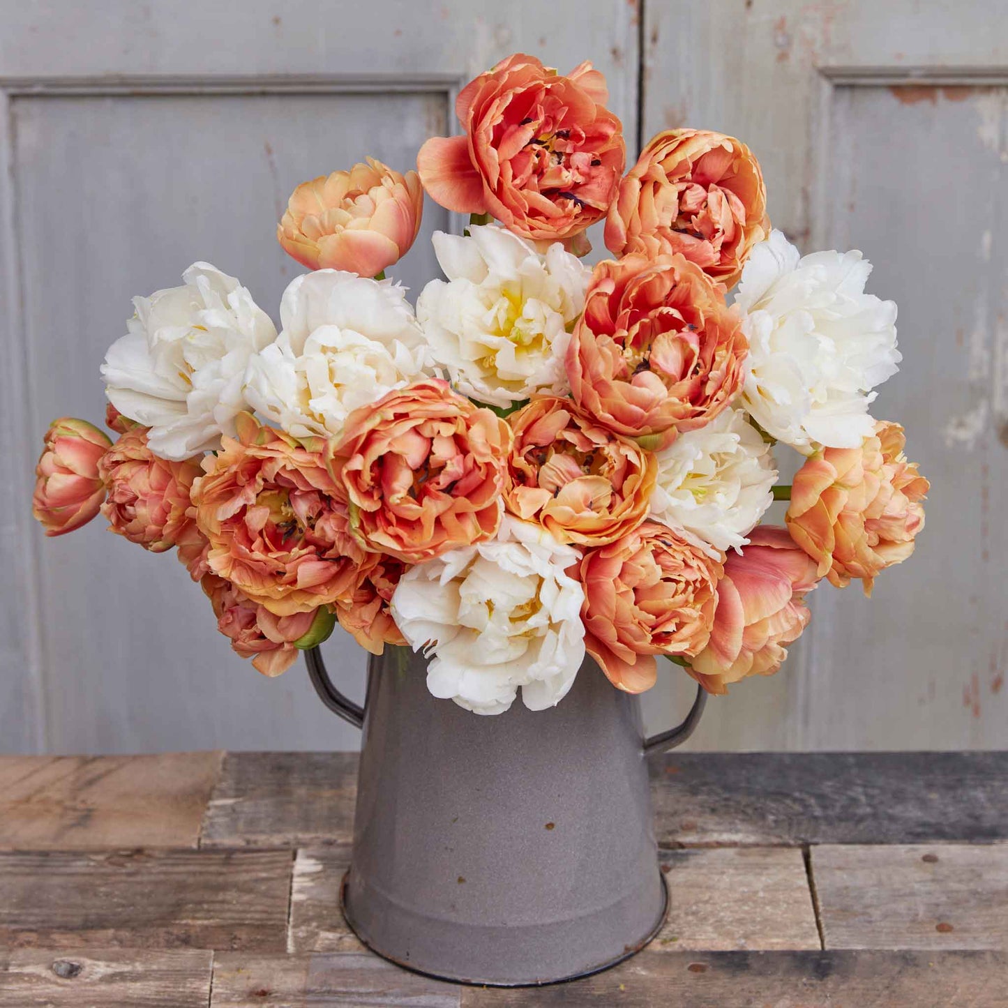 Butterscotch Mix - Tulip Bulbs