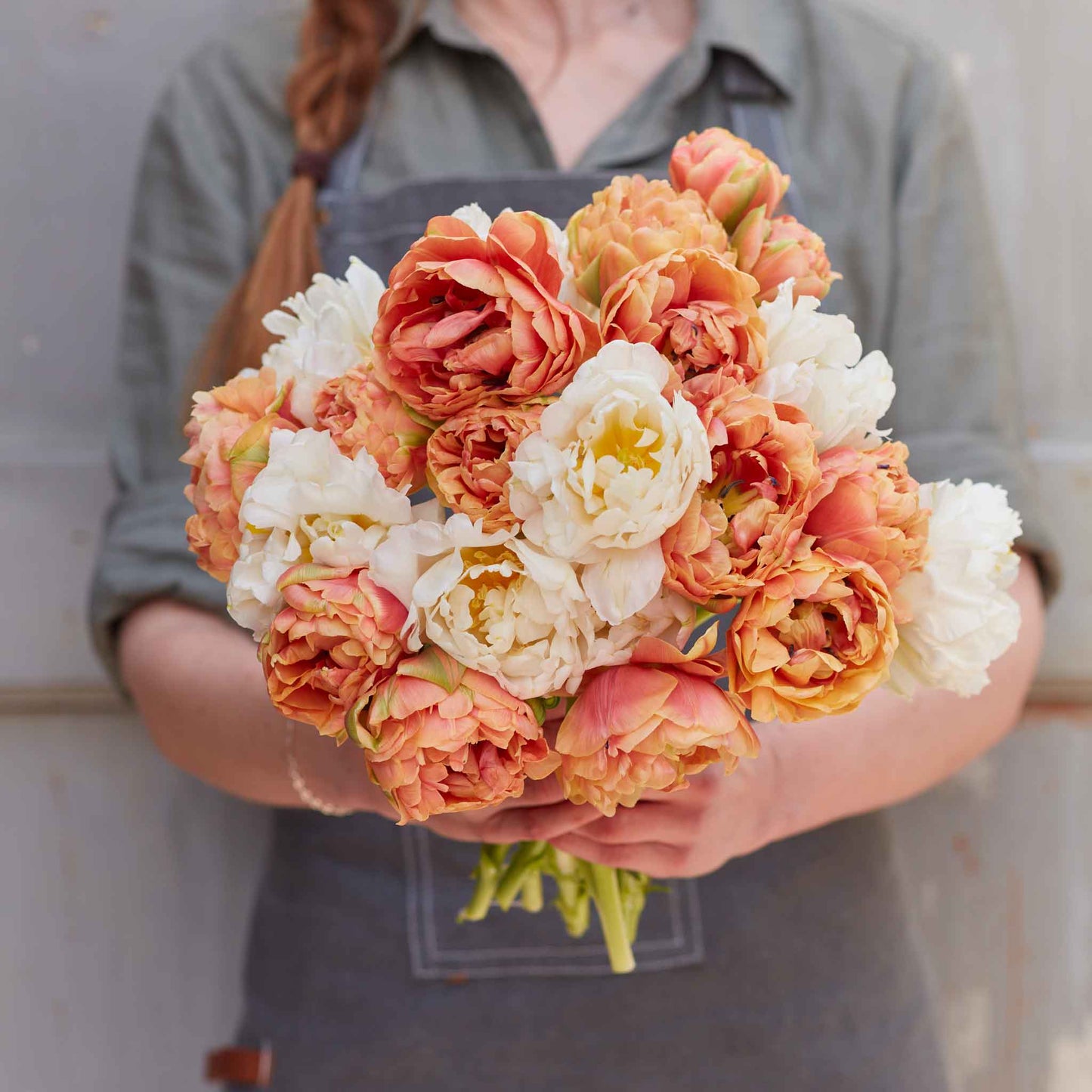 Butterscotch Mix - Tulip Bulbs