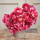 Dream Touch - Tulip Bulbs (Double Late)