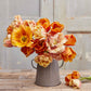 Persimmon Mix - Tulip Bulbs