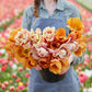 Persimmon Mix - Tulip Bulbs