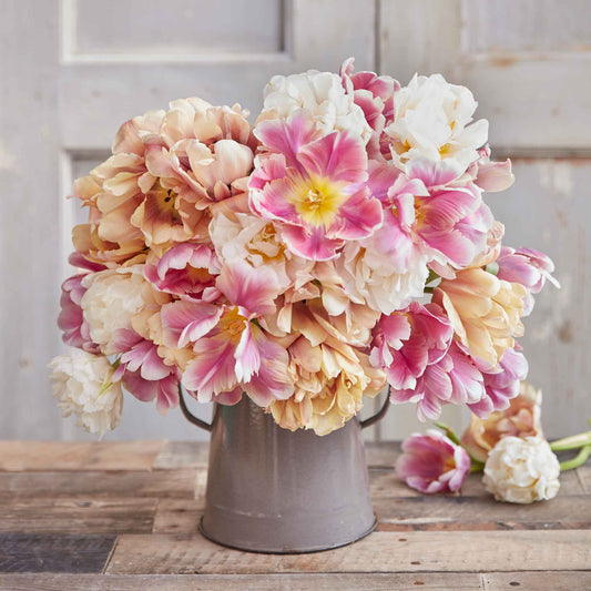 Watercolor Mix - Tulip Bulbs