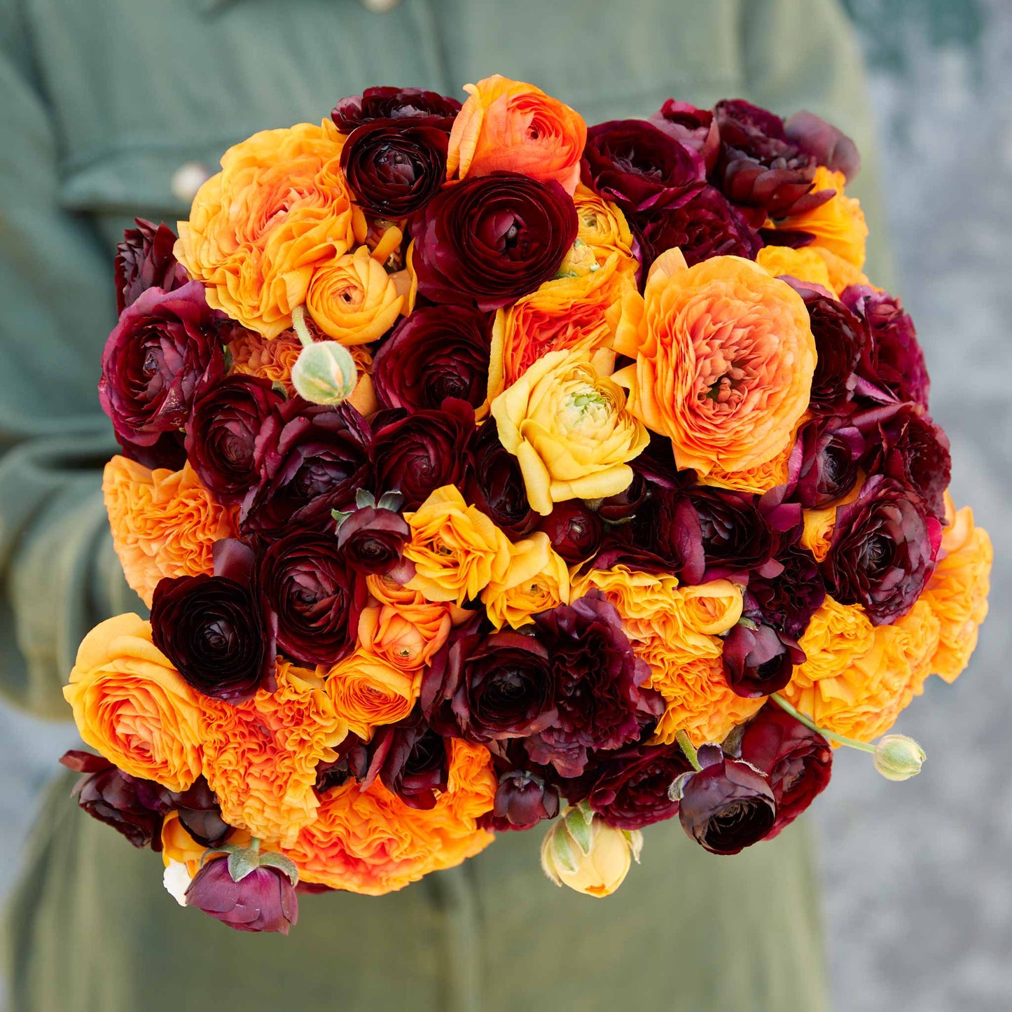 ranunculus fire and wine mix