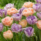 tulip lilac linen mix